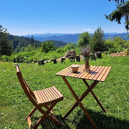 Вила Брезите Pamporovo Buitenkant foto