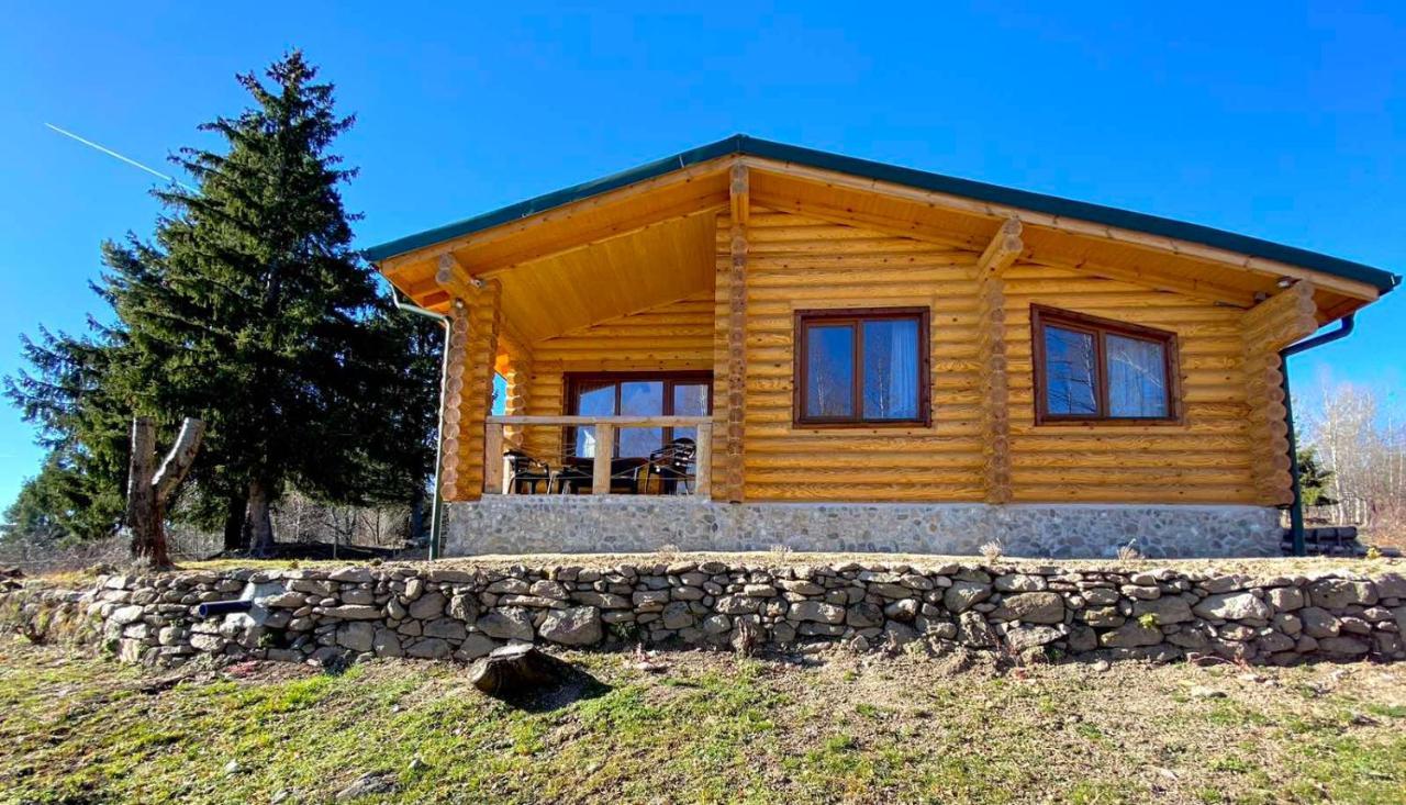 Вила Брезите Pamporovo Buitenkant foto