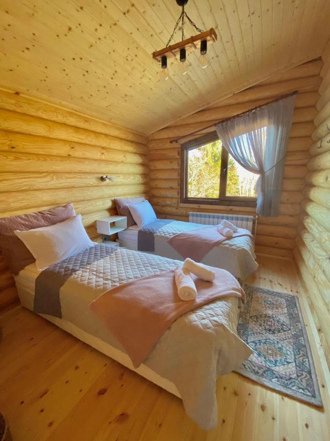 Вила Брезите Pamporovo Buitenkant foto