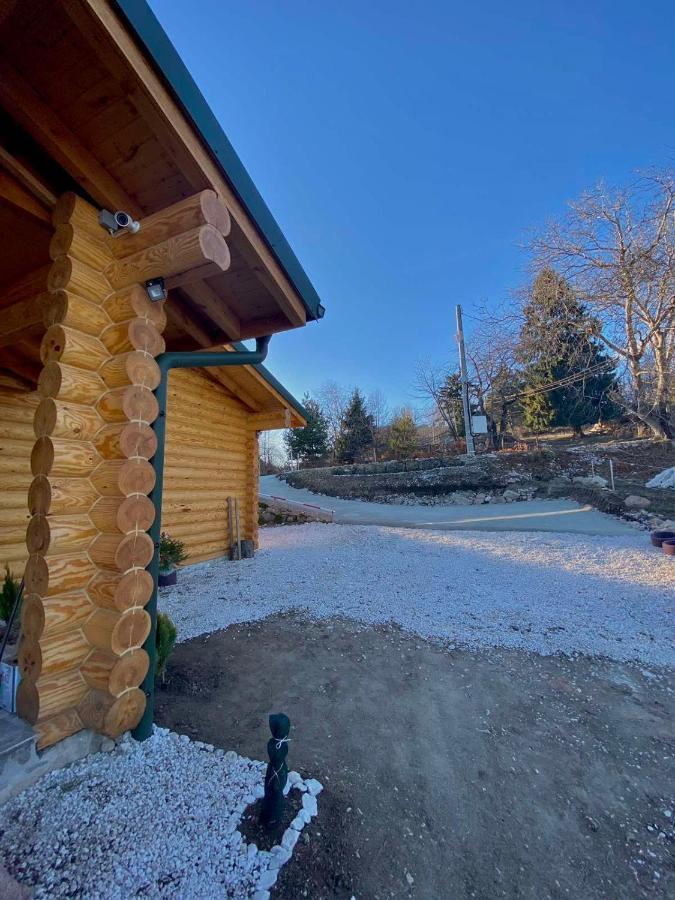 Вила Брезите Pamporovo Buitenkant foto