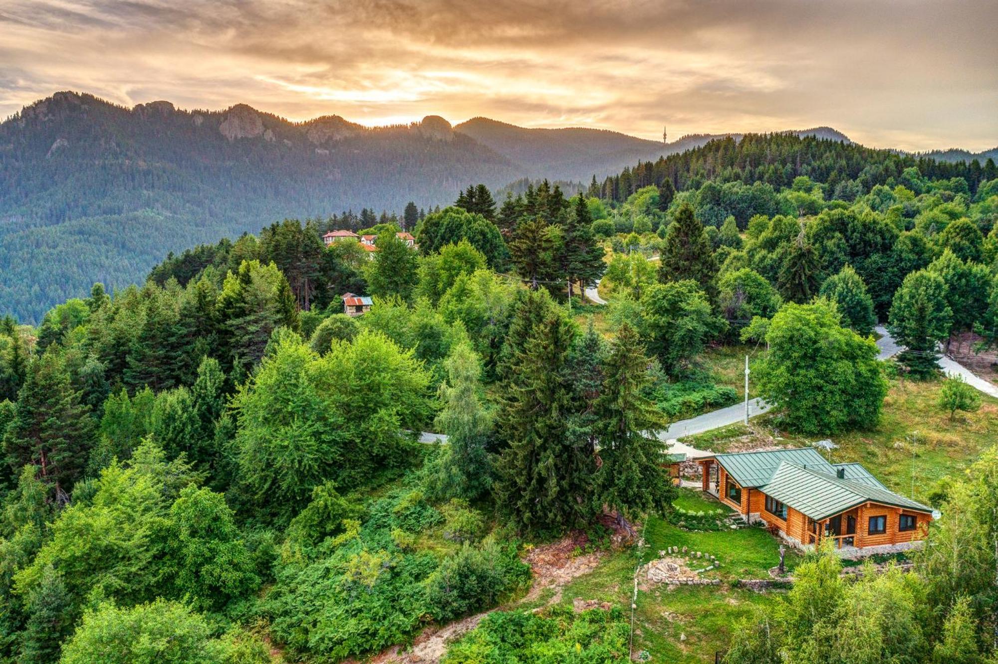 Вила Брезите Pamporovo Buitenkant foto