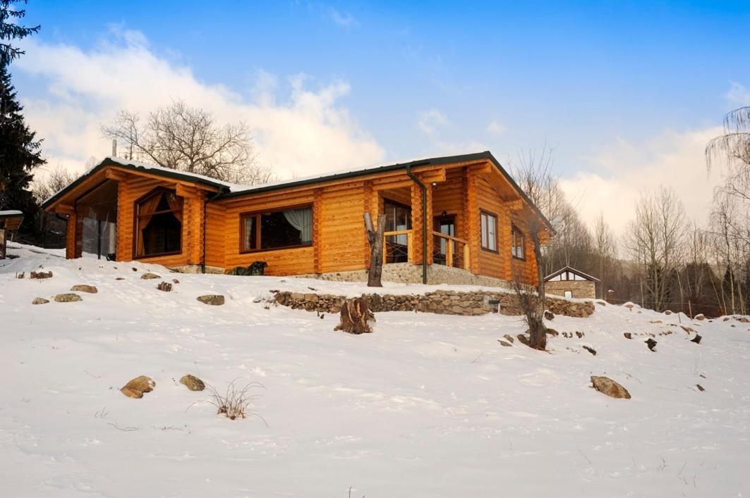 Вила Брезите Pamporovo Buitenkant foto