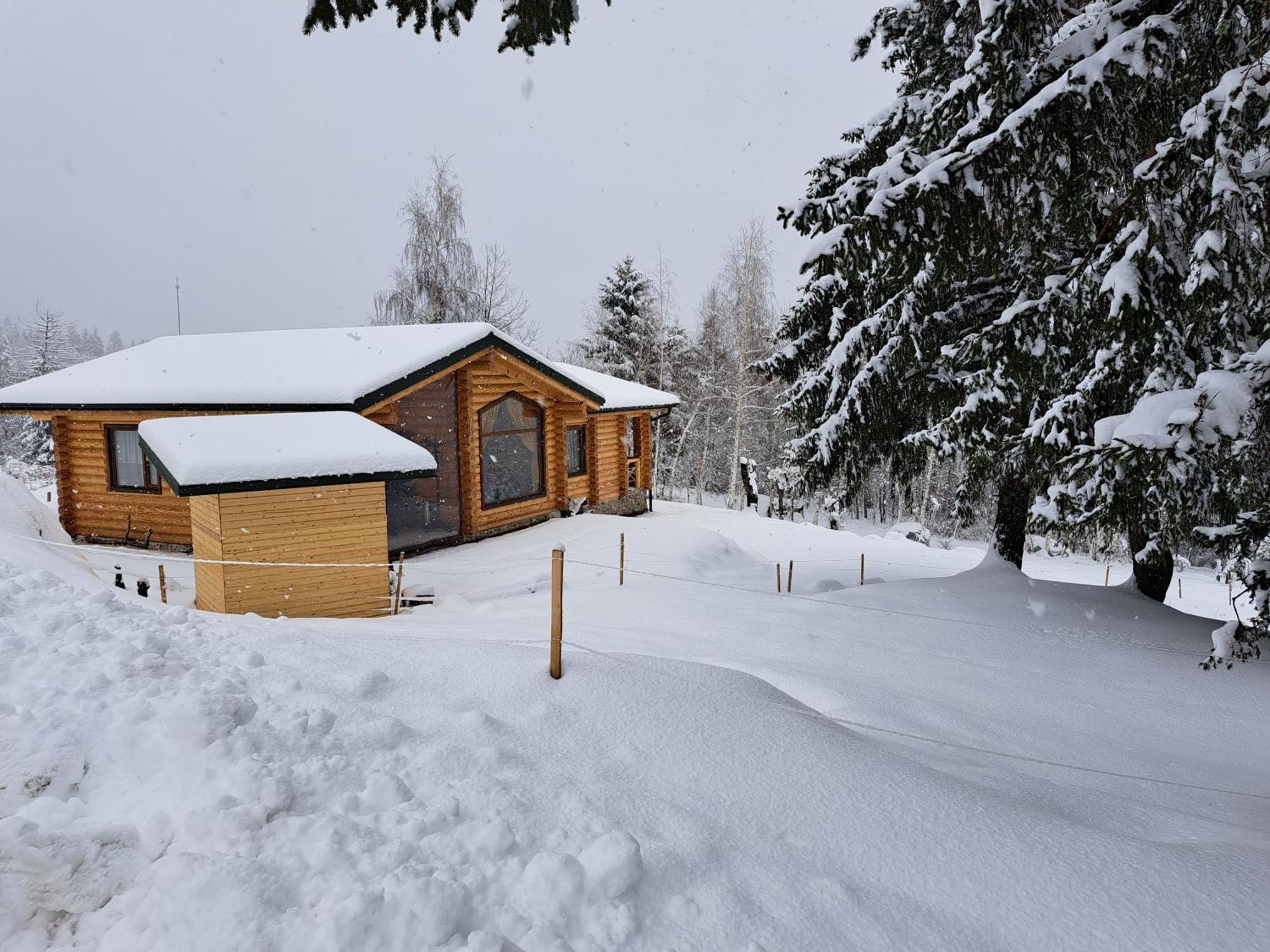 Вила Брезите Pamporovo Buitenkant foto