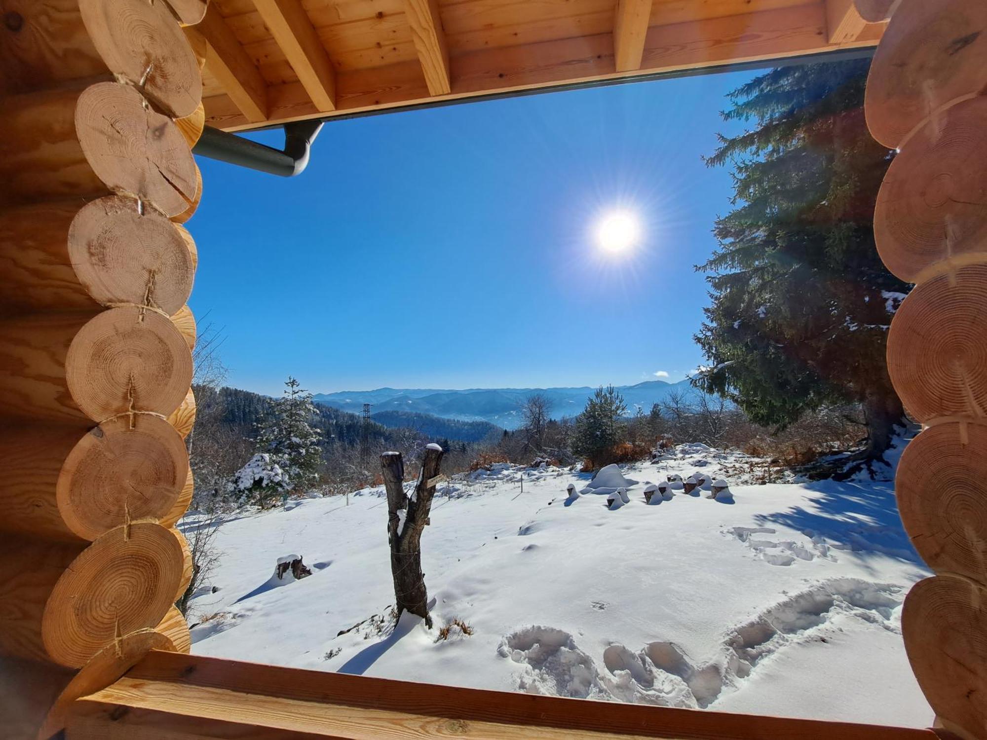 Вила Брезите Pamporovo Buitenkant foto